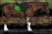 Horse Color:Chestnut Ice Tobiano 