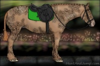 Horse Color:Gold Champagne Ice