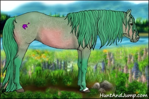 Horse Color:Watercolor Bay 