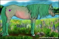 Horse Color:Watercolor Bay 