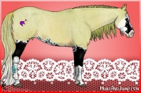 Horse Color:Watercolor Red Dun Roan Splash 