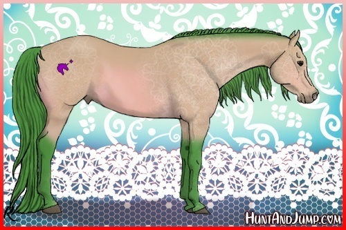 Horse Color:Watercolor Bay 