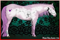 Horse Color:Watercolor Red Dun Frame 