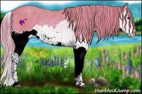 Horse Color:Watercolor Chestnut Splash 