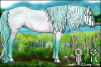 Horse Color:Gray Watercolor Buckskin Roan 