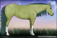 Horse Color:Watercolor Bay 