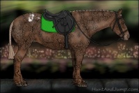 Horse Color:Chestnut Ice Appaloosa 