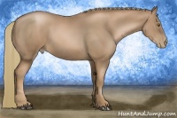 Horse Color:Liver Chestnut Pearl