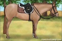 Horse Color:Brown Pearl 