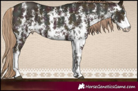 Horse Color:Midnight Liver Chestnut Ice Pearl Sabino 