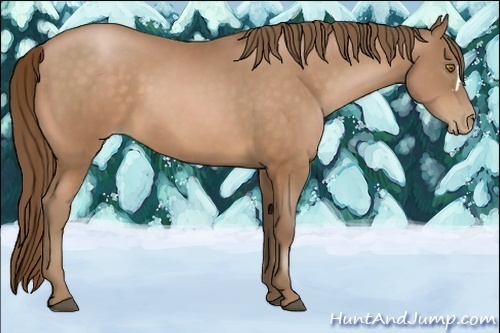 Horse Color:Brown Pearl 