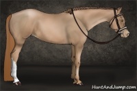 Horse Color:Liver Chestnut Pearl 