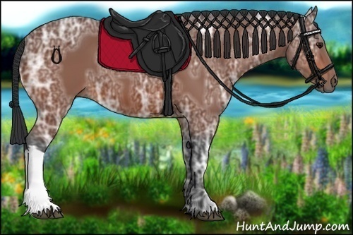 Horse Color:Bay Ice 