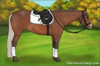 Horse Color:Silver Brown 