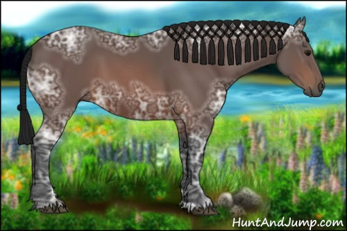 Horse Color:Gray Bay Ice 