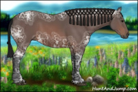 Horse Color:Gray Bay Ice 