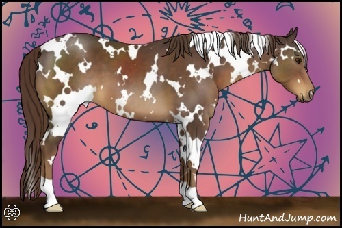 Horse Color:White Spotted Liver Chestnut 