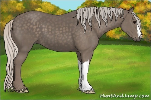Horse Color:Silver Black 