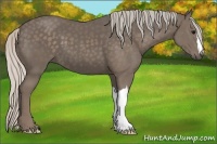 Horse Color:Silver Black 