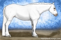 Horse Color:White Spotted Silver Black Splash Frame