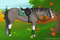 Horse Color:Grullo Splash 