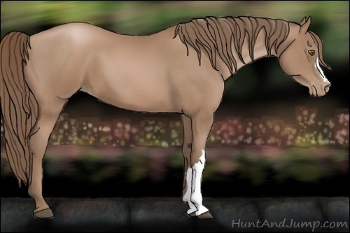 Horse Color:Black Pearl 