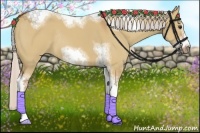 Horse Color:Silver Bay Dun Sabino Tobiano Frame Rabicano