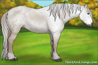 Horse Color:Gray Red Dun