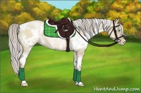 Horse Color:White Spotted Chocolate Palomino Pearl Dun