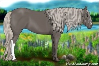 Horse Color:Silver Black 