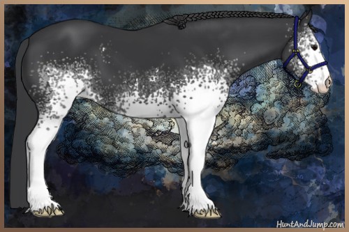 Horse Color:White Spotted Black 