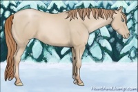 Horse Color:Smoky Black Pearl