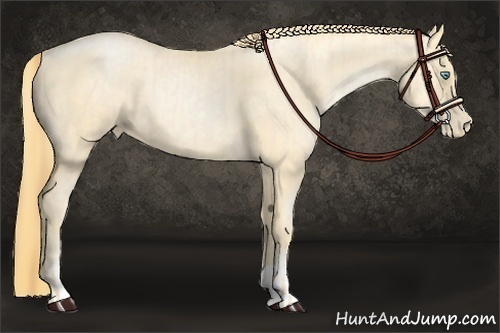 Horse Color:Buckskin Roan Pearl and Buckskin Roan Pearl