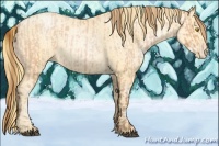 Horse Color:Bay Roan Pearl and Buckskin Pearl