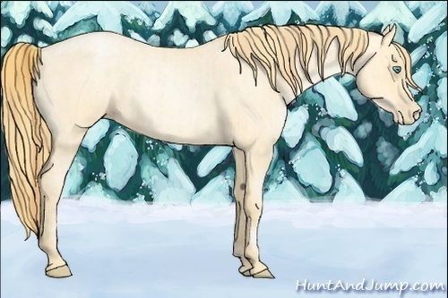 Horse Color:Buckskin Roan Pearl and Buckskin Roan Pearl