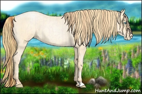 Horse Color:Buckskin Roan Pearl  and Buckskin Roan Pearl 