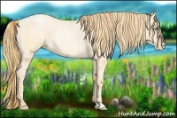 Horse Color:Buckskin Roan Pearl and Buckskin Roan Pearl