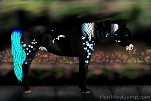 Horse Color:Palomino Roan Dun Near Leopard  and Gold Cream Champagne Roan Dun Near Leopard 