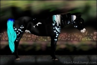 Horse Color:Palomino Roan Dun Appaloosa  and Gold Cream Champagne Roan Dun Appaloosa 