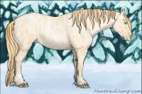 Horse Color:Buckskin Roan Pearl and Buckskin Roan Pearl
