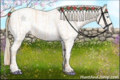 Horse Color:Buckskin Roan Pearl  and Buckskin Roan Pearl Appaloosa 