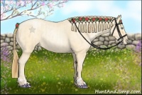 Horse Color:Buckskin Roan Pearl and Buckskin Roan Pearl Rabicano