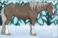 Horse Color:Silver Black 