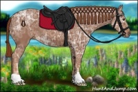 Horse Color:Chestnut Ice 