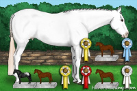Horse Color:Chestnut Blanket 