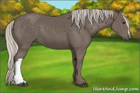 Horse Color:Silver Black 
