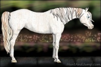 Horse Color:Buckskin Roan Pearl  and Buckskin Roan Pearl Appaloosa 