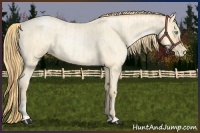 Horse Color:Buckskin Roan Pearl and Buckskin Roan Pearl