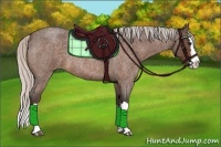 Horse Color:Silver Bay Roan Splash 