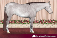 Horse Color:White Spotted Chocolate Sable Champagne Chinchilla Frame 